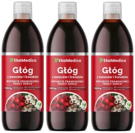 zestaw-3x-glog-z-owocow-i-kwiatow-1l-ekamedica
