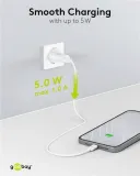 ladowarka-usb-5w-biala-marka-goobay-stan-nowy-producent-goobay