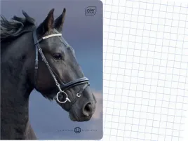interdruk-szkolny-zeszyt-a5-kratka-16-kartek-w-kratke-wild-horses-kon