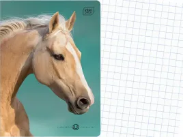 interdruk-szkolny-zeszyt-a5-kratka-16-kartek-w-kratke-wild-horses-kon