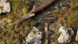 gamers-grass-swamp-shrubs-6-mm