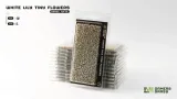 gamers-grass-white-lily-tiny-flowers-4-mm-nazwa-gamers-grass-white-lily-tiny-flowers-4-mm