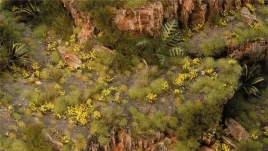 gamers-grass-dandelion-tiny-flowers-4-mm