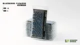 gamers-grass-bluebeard-flowers-6-mm-nazwa-gamers-grass-bluebeard-flowers-6-mm