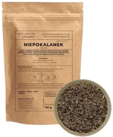 niepokalanek-owoc-100g-zielarzpolski