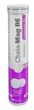 olimp-chela-mag-b6-20-tabs-orange