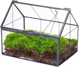 mini-szklarnia-terarium-ncyp-do-malych-roslin-z-pokrywa-11x11x12