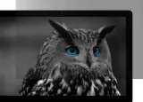natec-owl-13-3-16-9