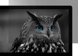 natec-owl-13-3-16-9