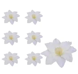 clematis-glowka-kremowa-6-sztuk