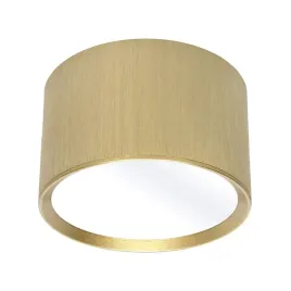 natynkowa-lampa-sufitowa-1402-tubka-na-korytarz-zloty