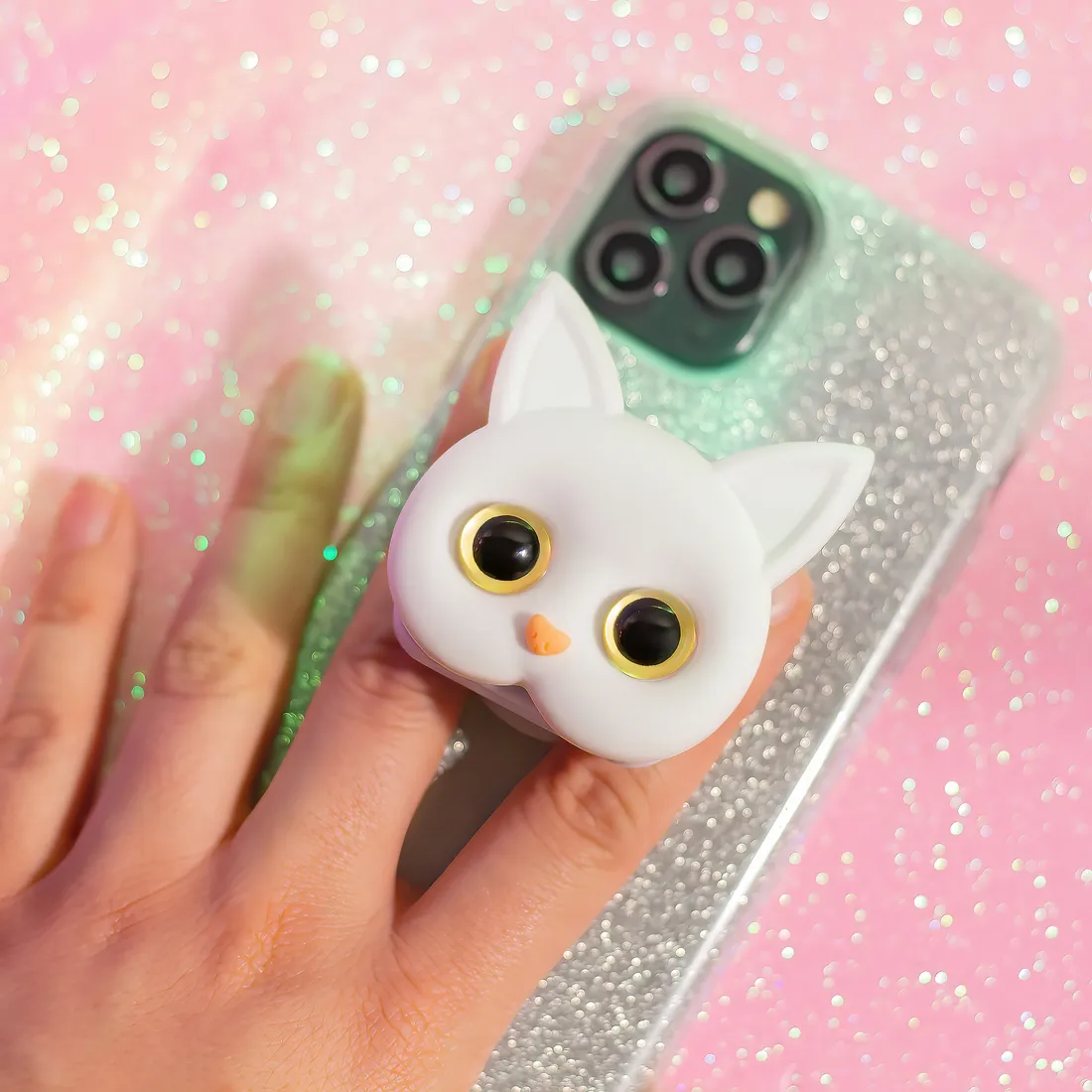 cat-holder-bialy