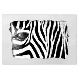 plakaty-90x60-zebra-paski