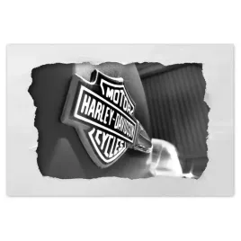 plakaty-90x60-logo-harley-davidson
