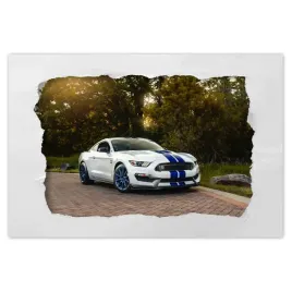 plakaty-60x40-sportowy-ford-mustang