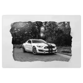 plakaty-60x40-sportowy-ford-mustang