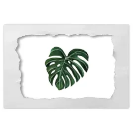 naklejki-120x80-monstera-deliciosa-lisc