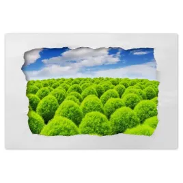 naklejki-90x60-zielone-spojrzenie-dolina