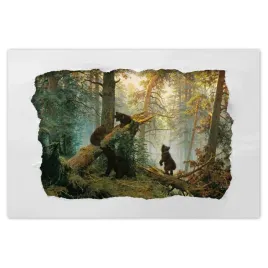 naklejki-90x60-poranek-w-sosnowym-lesie