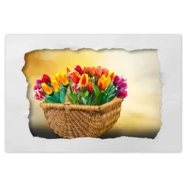 naklejki-90x60-tulipany-kwiaty-kwiatki