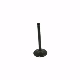 zawor-ssacy-yamaha-bt-sr-xt-xv-xvs
