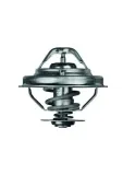 termostat-bmw-25-91-