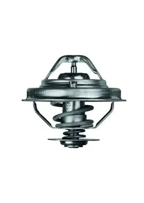 termostat-bmw-25-91-