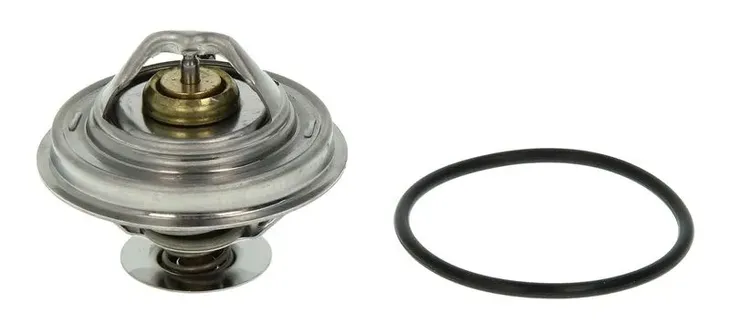 termostat-bmw-25-91-wersja-europejska