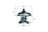 termostat-db-producent-czesci-mahle