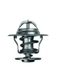 termostat-audi-16-76-