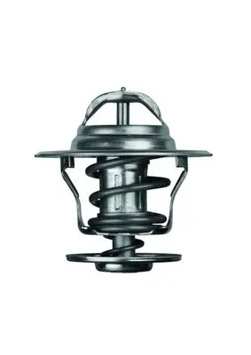 termostat-audi-16-76-