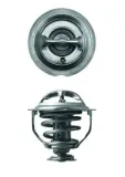 termostat-audi-18-20fsi-tfsi-08-