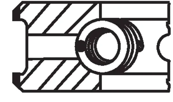 piers-tl-producent-czesci-mahle