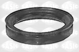 pierscien-dr-skretnego-wew-citroen-peuge-sasic-sasic-1545085