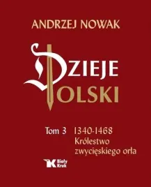 dzieje-polski-tom-3-1340-1468-krolestwo-zwycieski-bialy-kruk