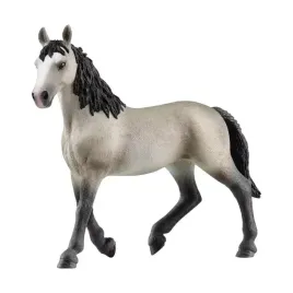 klacz-rasy-cheval-de-selle-francais