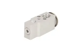 thermotec-ktt140078-dysza-wtryskiwacza-zawor-rozszerzalny