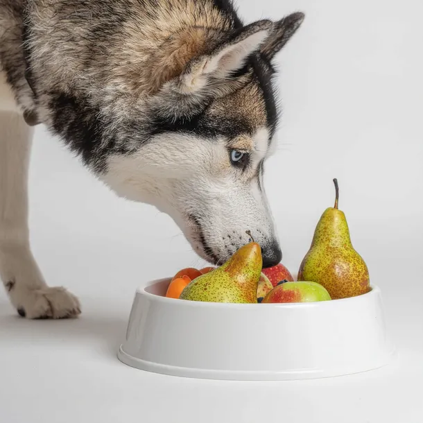 smoothiedog-owocowy-obstkorb-250ml-wiek-zwierzecia-psy-dorosle