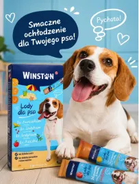 winston-lody-dla-psa-przysmaki-chlodzace-mix-smakow-8-szt