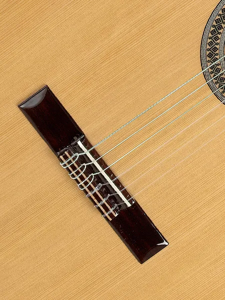 alhambra-2c-gitara-klasyczna-rodzaj-flamenco