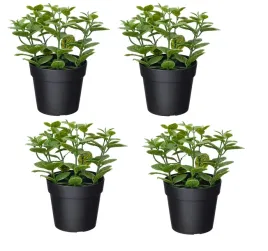ikea-fejka-sztuczna-roslina-w-doniczce-mieta-komplet-zestaw-4-sztuk