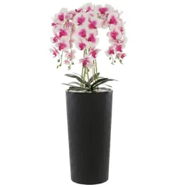 storczyk-sztuczny-kremowo-rozowy-bukiet-kwiaty-h1075-cm-donica-antracytowa