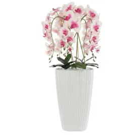 storczyk-sztuczny-kremowo-rozowy-w-donicy-bukiet-kwiaty-h95-cm-donica-biala
