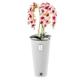 storczyk-sztuczny-kremowo-rozowy-bukiet-kwiaty-wysoka-donica-biala-h-110-cm