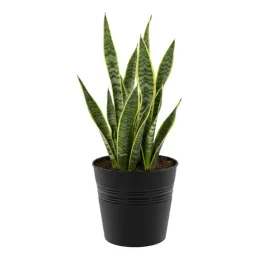 doniczka-wiadro-okragla-o-22-cm-grafit-minimalistyczna-prosta-h-21-cm