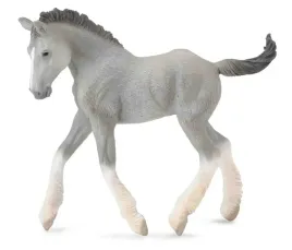 zrebie-rasy-shire