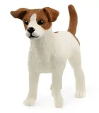 jack-russell-terrier
