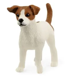 jack-russell-terrier
