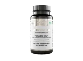 human-protect-lion-s-mane-100vkaps-soplowka-jezowata