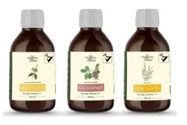 nanga-protokol-csa-wg-buhnera-3-x-250-ml-cryptolepsis-alchornea-sida-acuta
